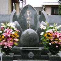 �₷�炬�̔�